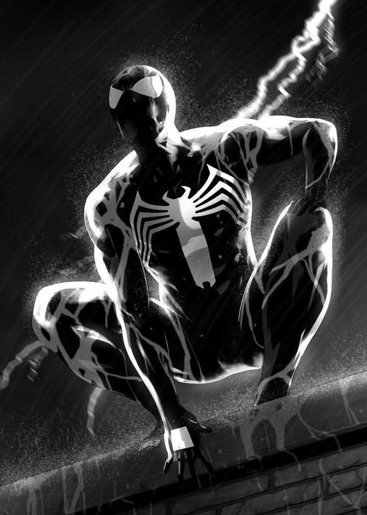 SPIDER MAN
